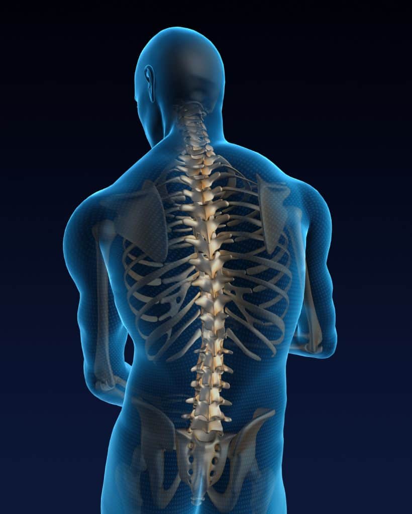 Spine Diagram - Orlando Orthopaedic Center